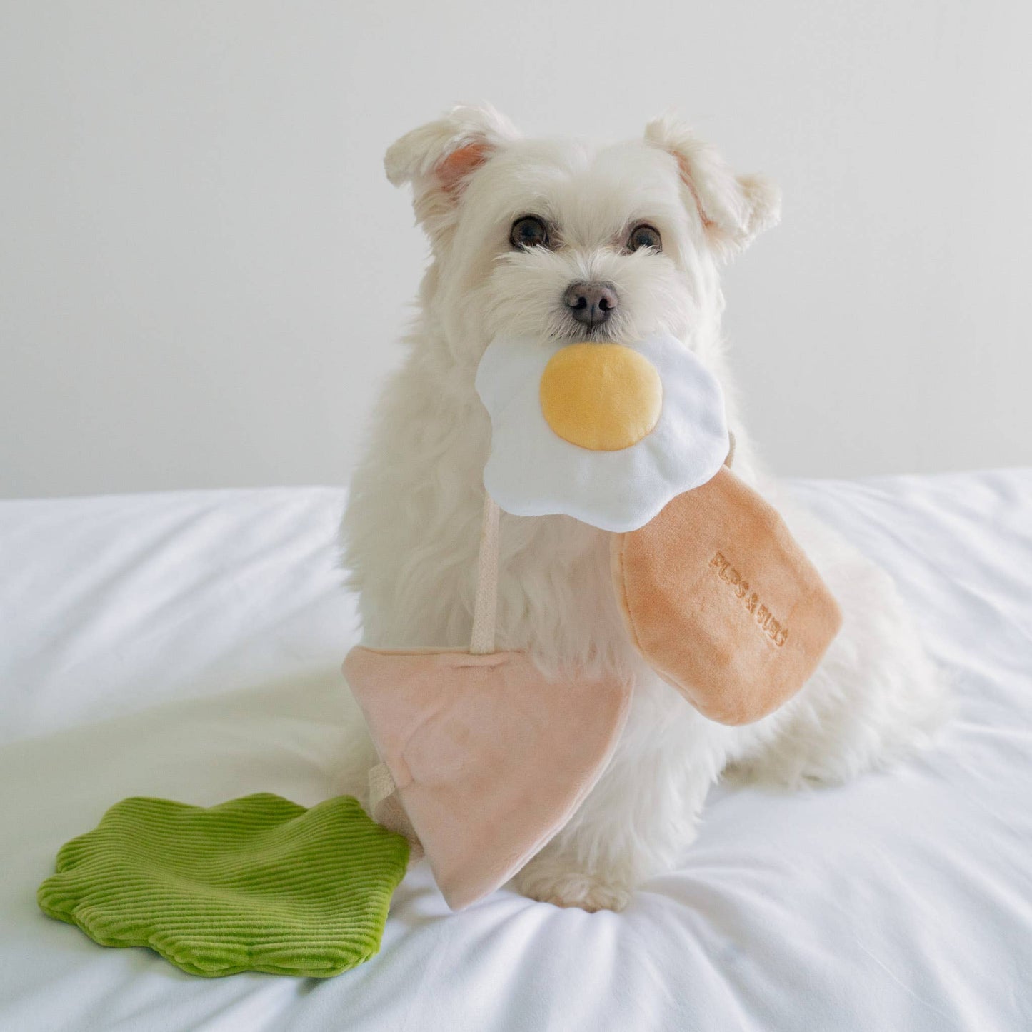 Pita Pocket Nosework Toy