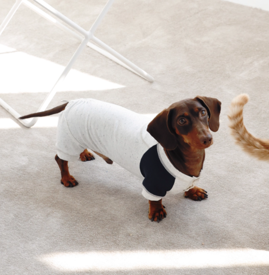 LG Series UPF50+ Anti-Bacterial Cooling Four-Legged Suit