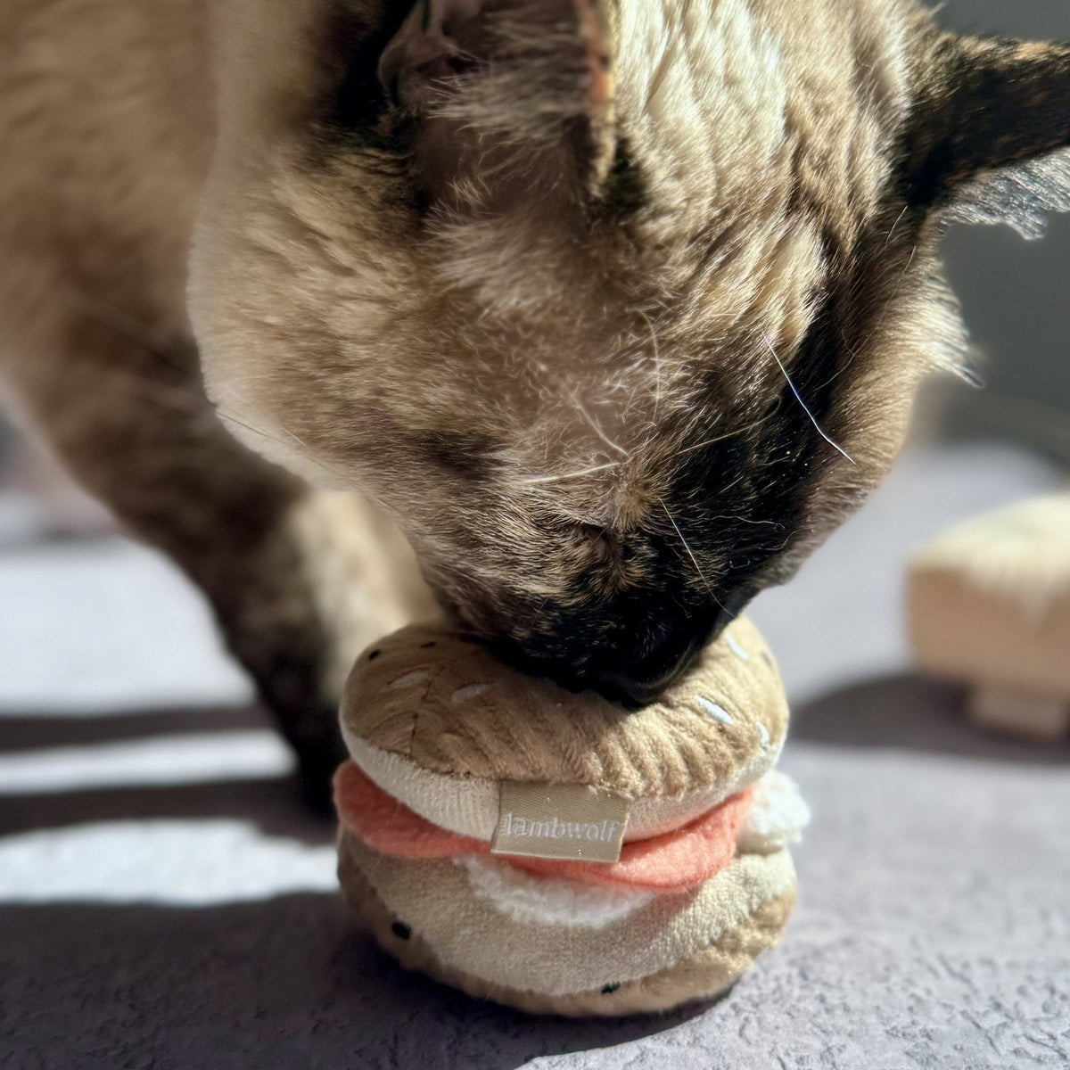 Kitty Pizza & Bagel Set | Cat Toy