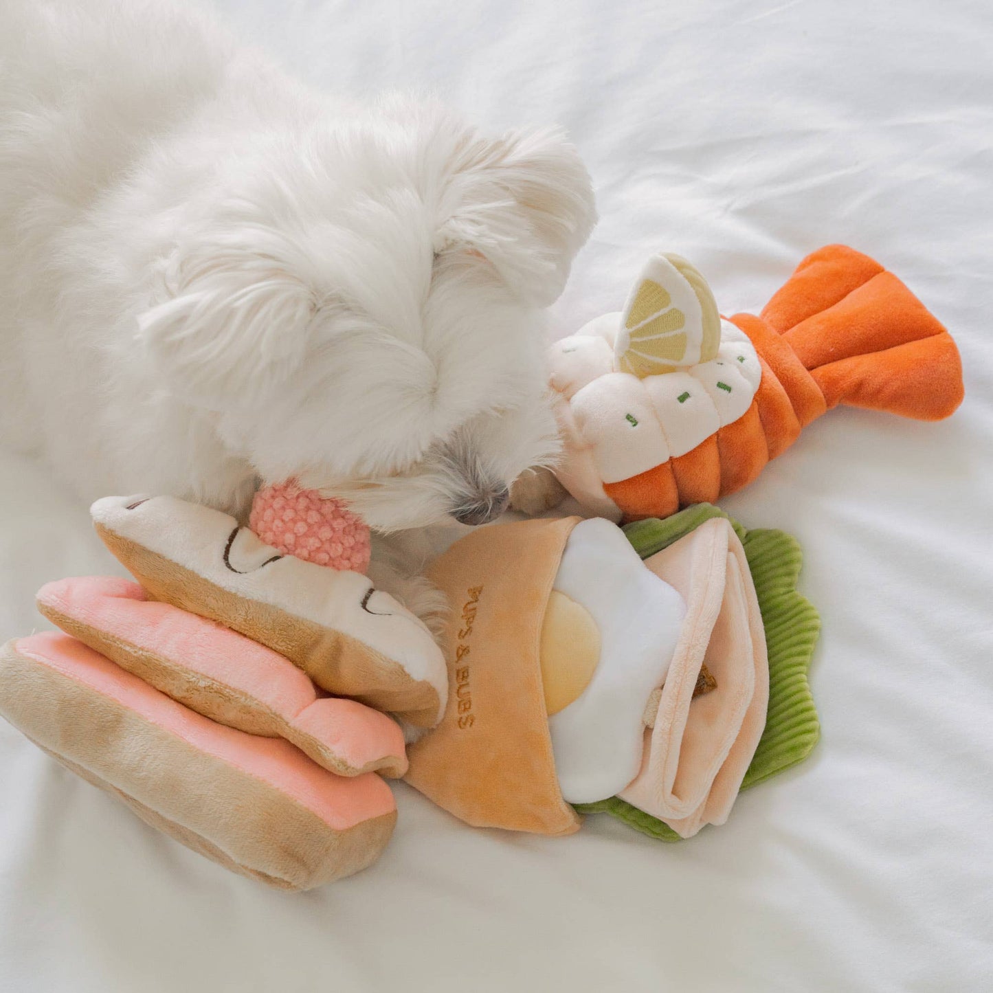 Pita Pocket Nosework Toy
