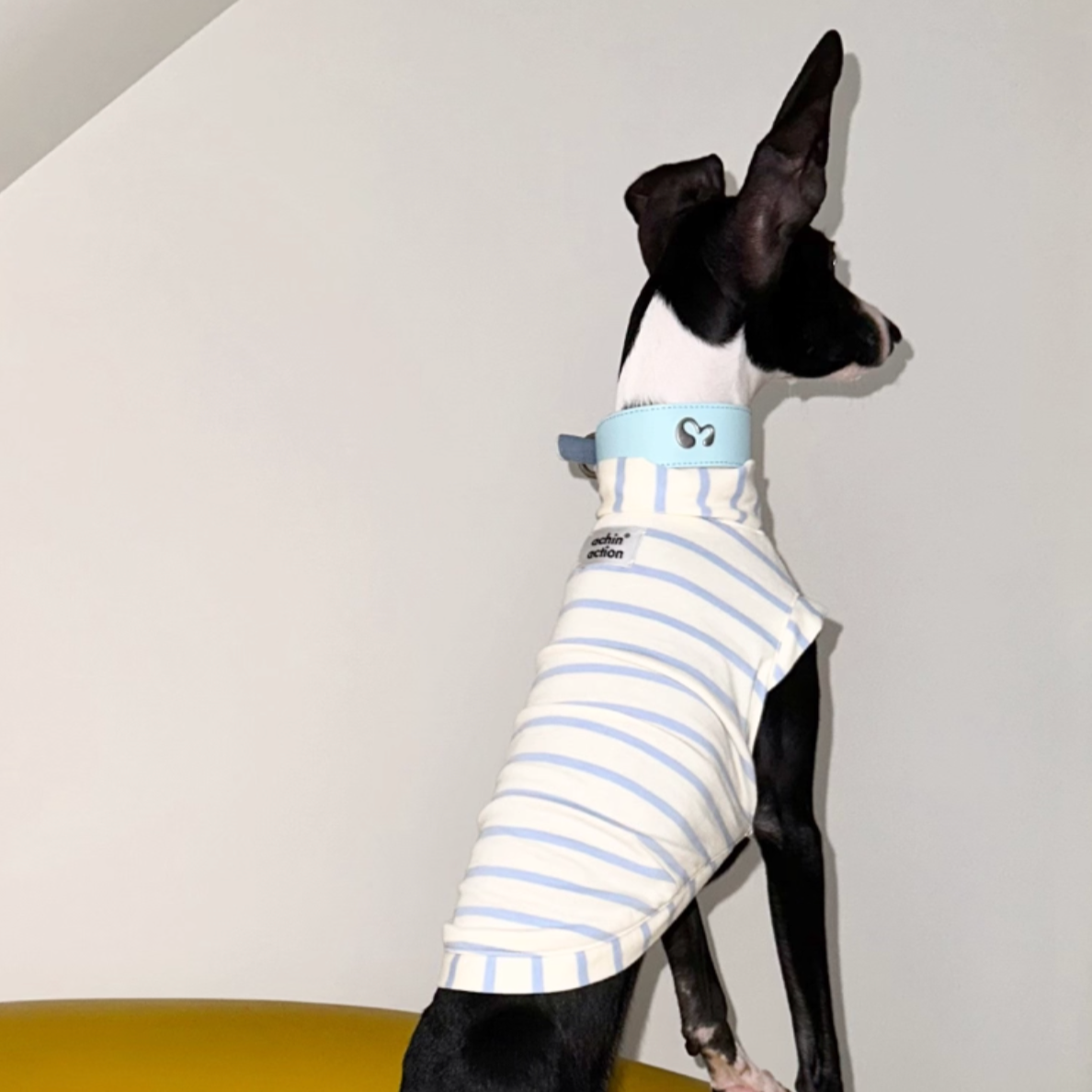 Blue n White Stripes Cotton Top