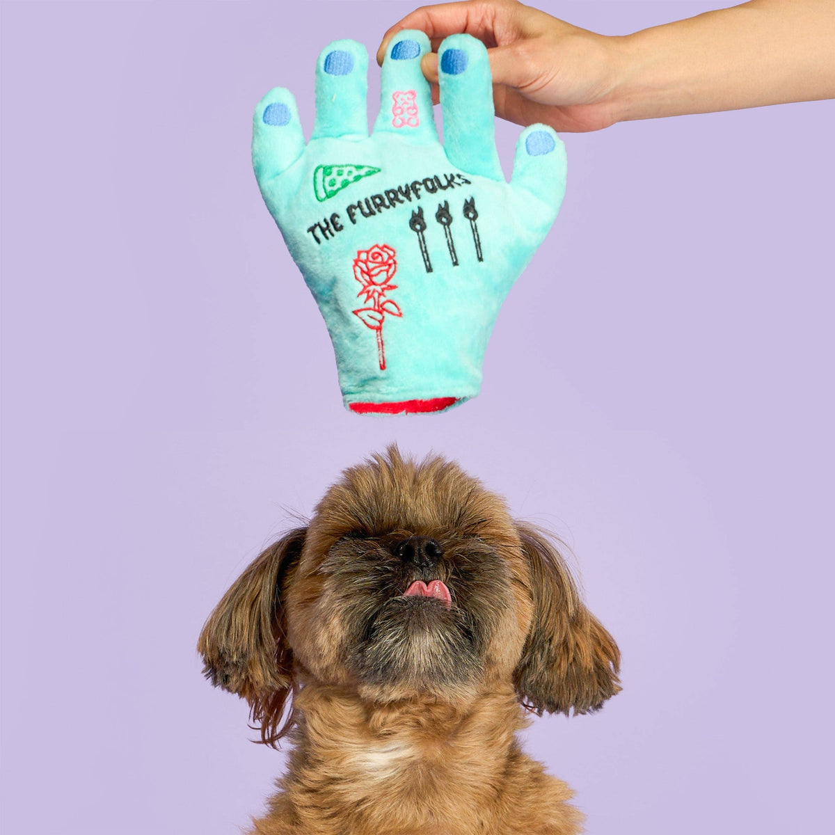 Lost Hand Nosework Toy