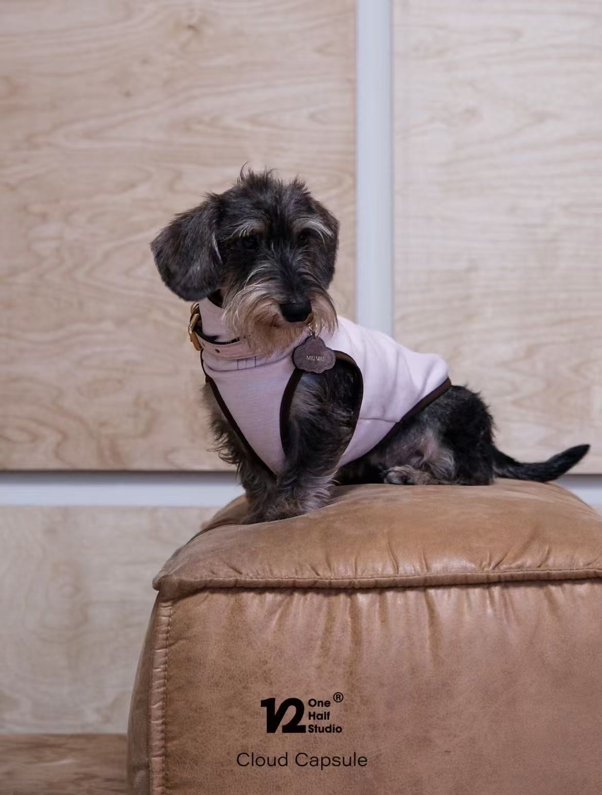The Cloud Capsule Leather Pet Collar