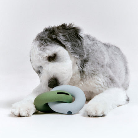 Gori U-Ring Puzzle Toy