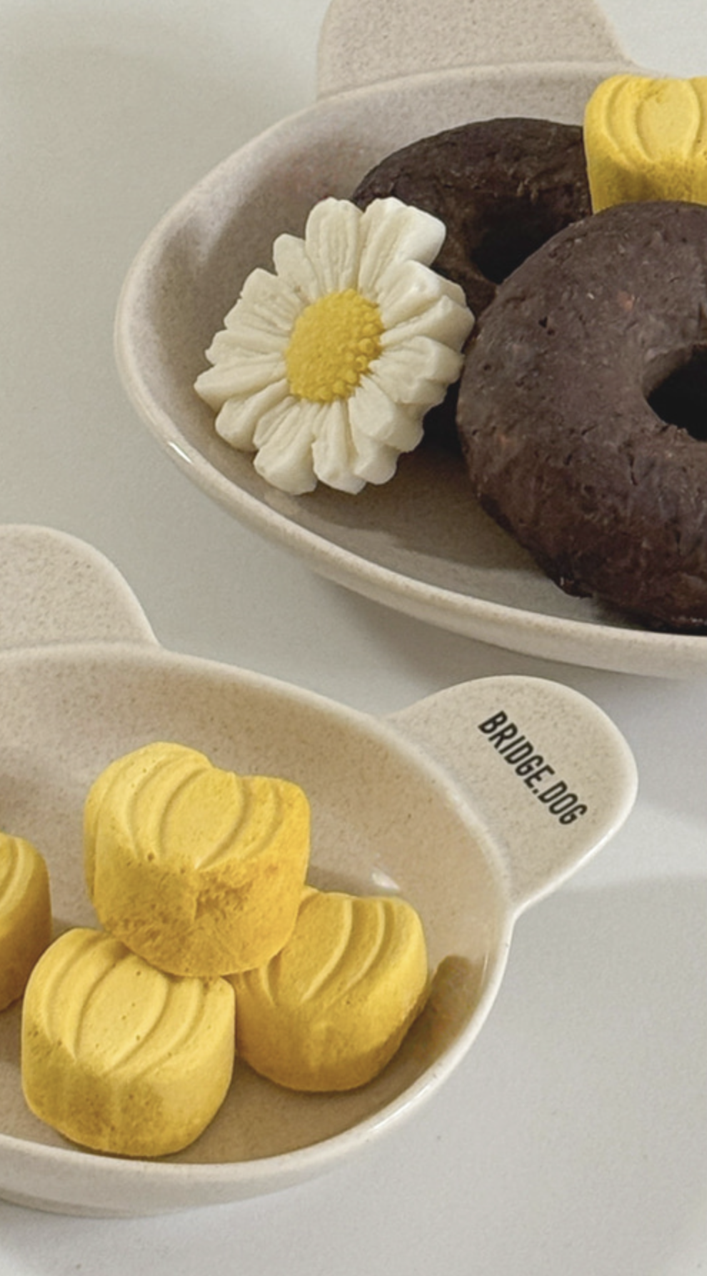 Bridge Dog Cozy Bear Dish