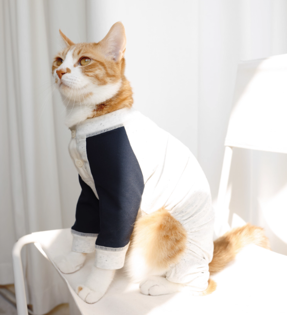 LG Series UPF50+ Anti-Bacterial Cooling Four-Legged Suit