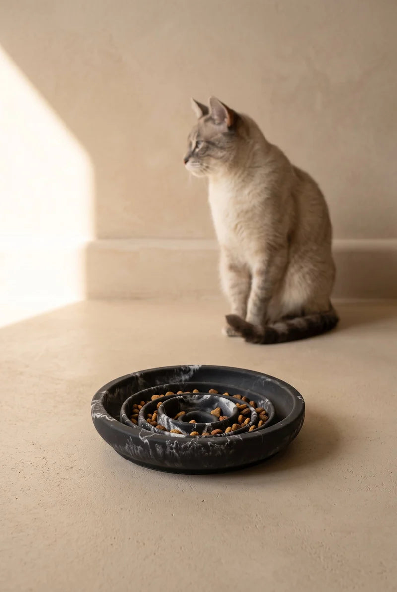 NKP FRIENDS ONLY Black Panther-Flat Slow Feeder Bowl