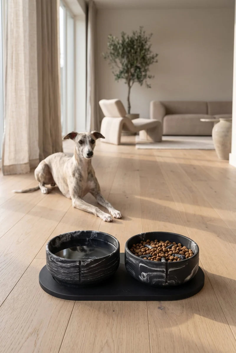 [PRE-ORDER] Black Panther - Slow Feeder Bowl