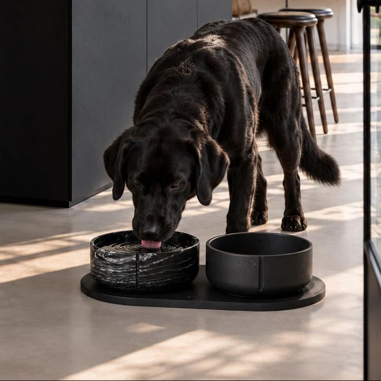 [PRE-ORDER] Black Panther - Classic Bowl
