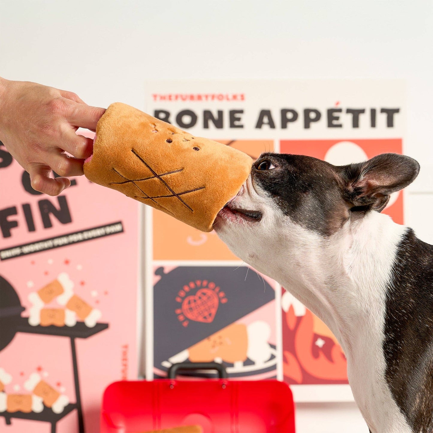 FurryFolks Bone Appétit Nosework Toy