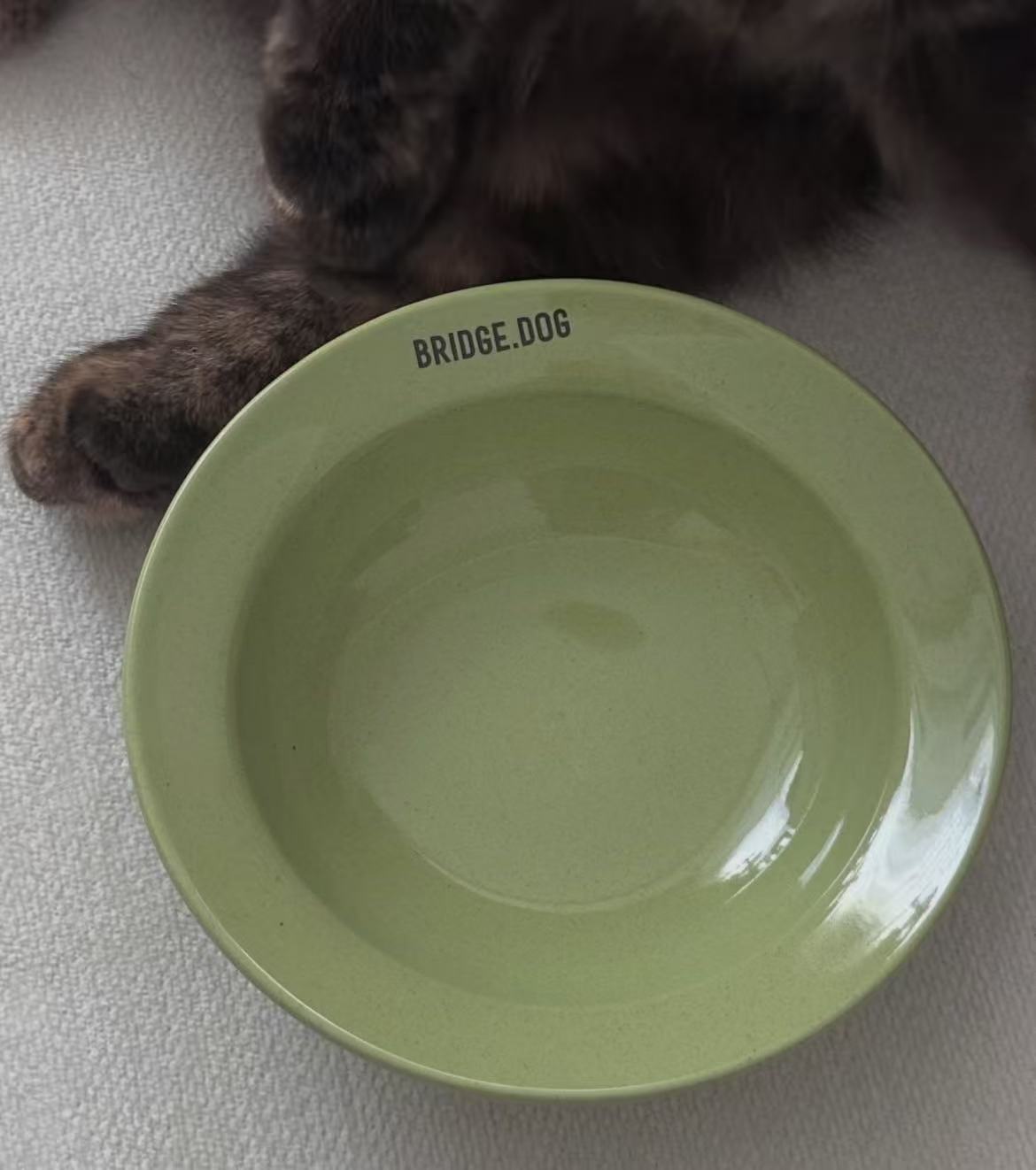 Bridge Dog Bridge Matcha Limited Edition