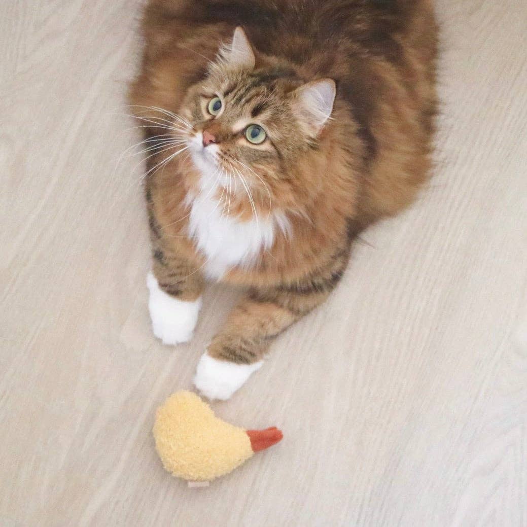 Kitty Tempura