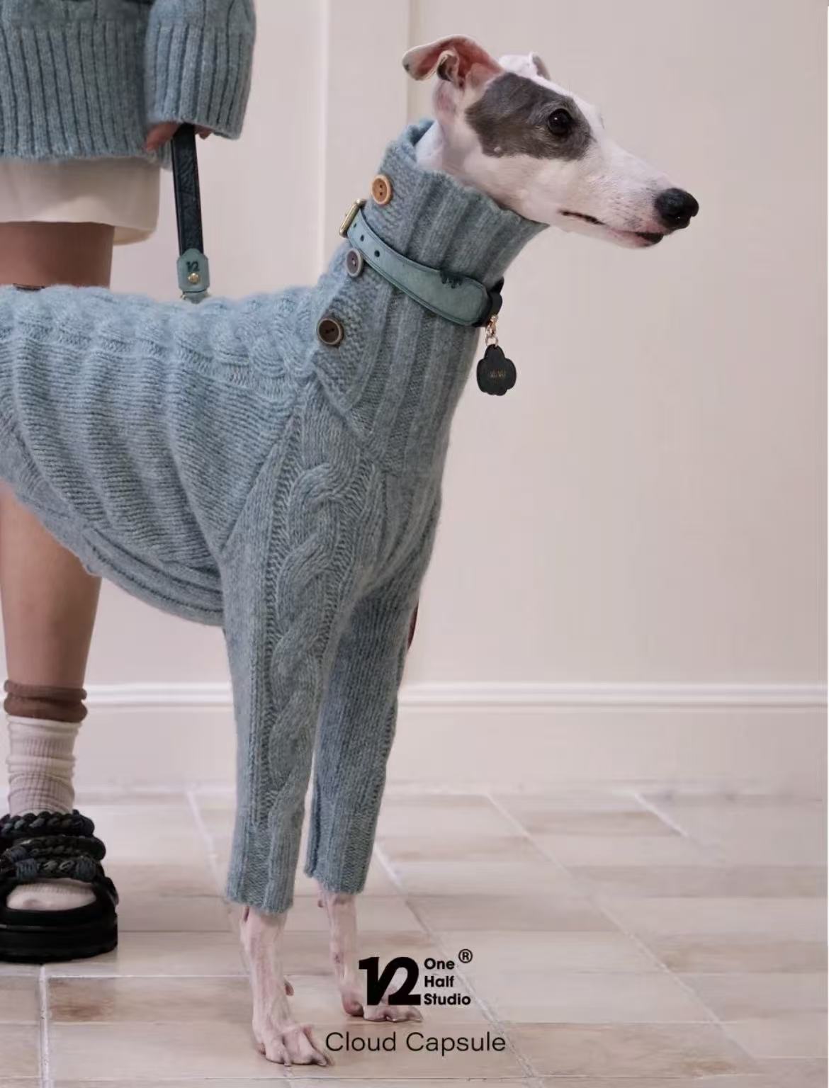 The Cloud Capsule Knit Sweater