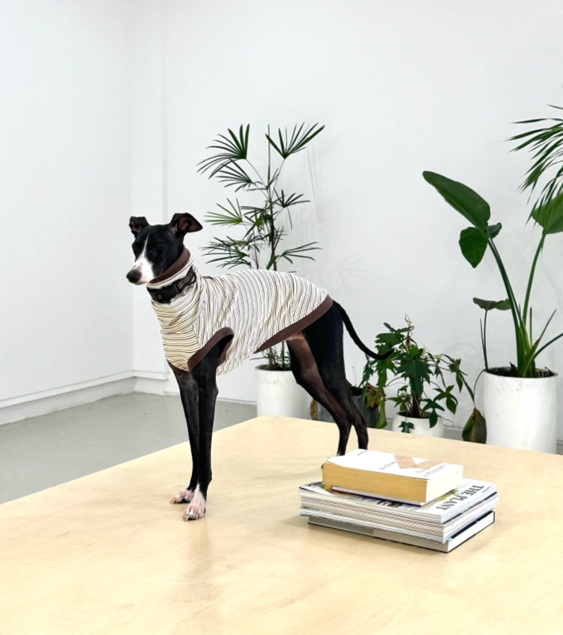 Choco Crepe Velvet Thermal Top with Hood