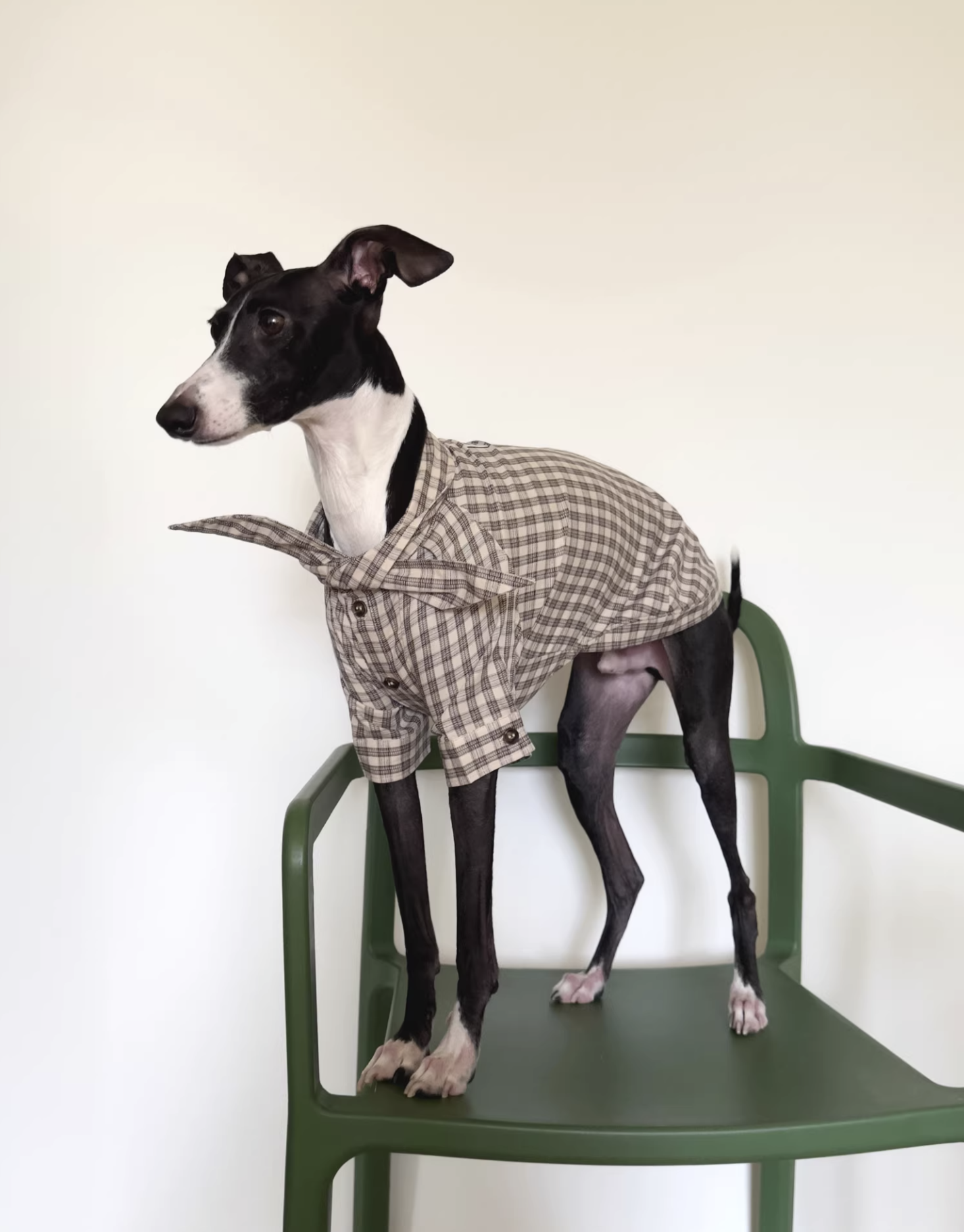 GT Series Hazelnut Plaid Tie-Neck Shirt