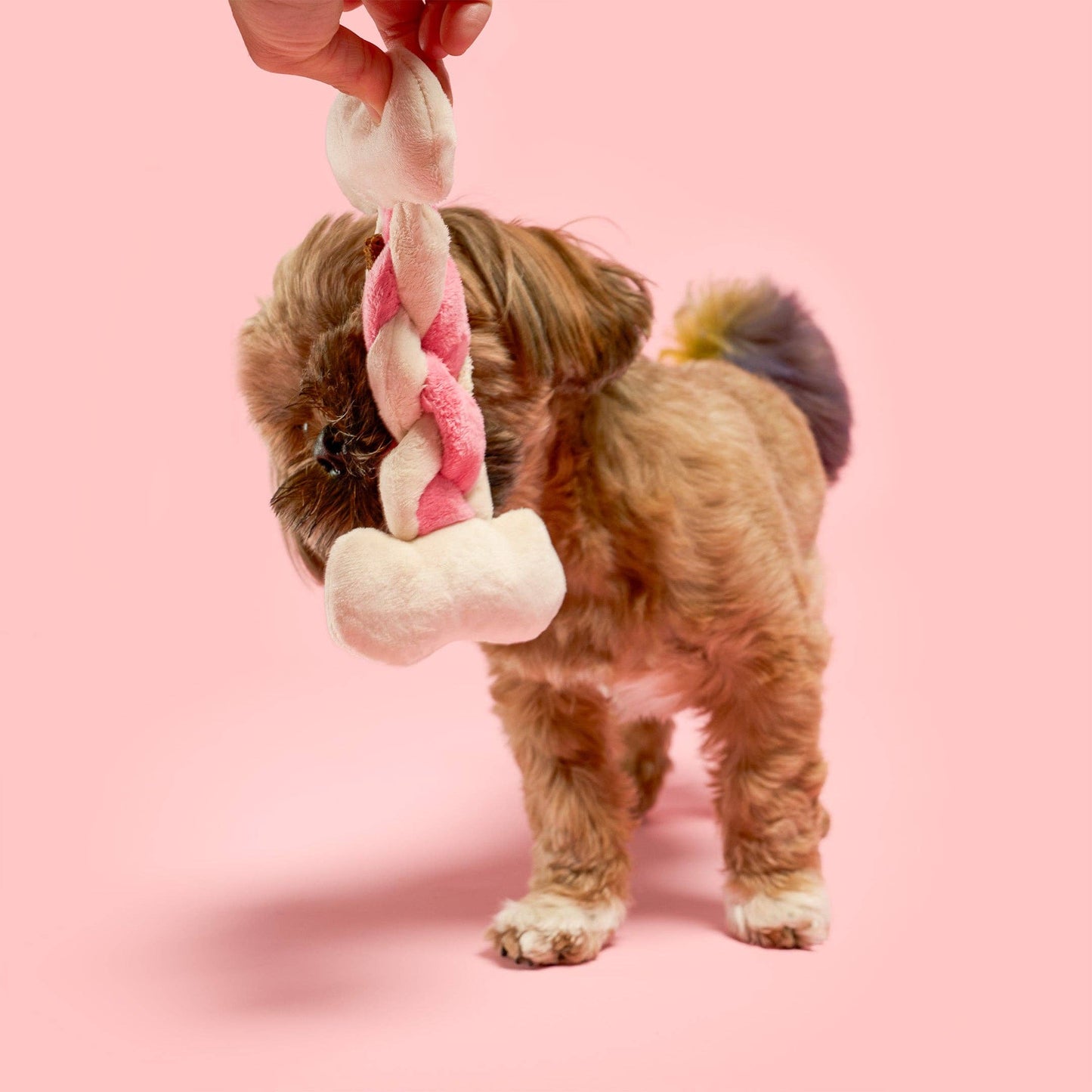 FurryFolks Bone Appétit Nosework Toy