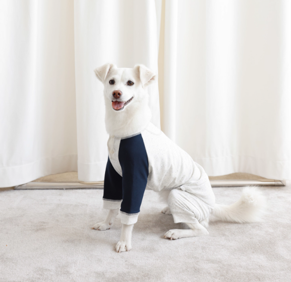 LG Series UPF50+ Anti-Bacterial Cooling Four-Legged Suit