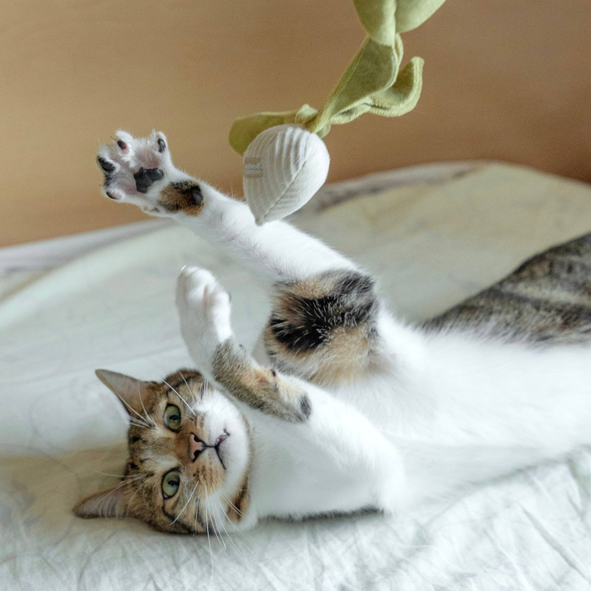 Kitty Radish | Cat Toy | Catnip