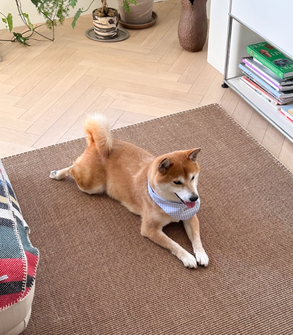 Double-Sided Summer Plaid Top