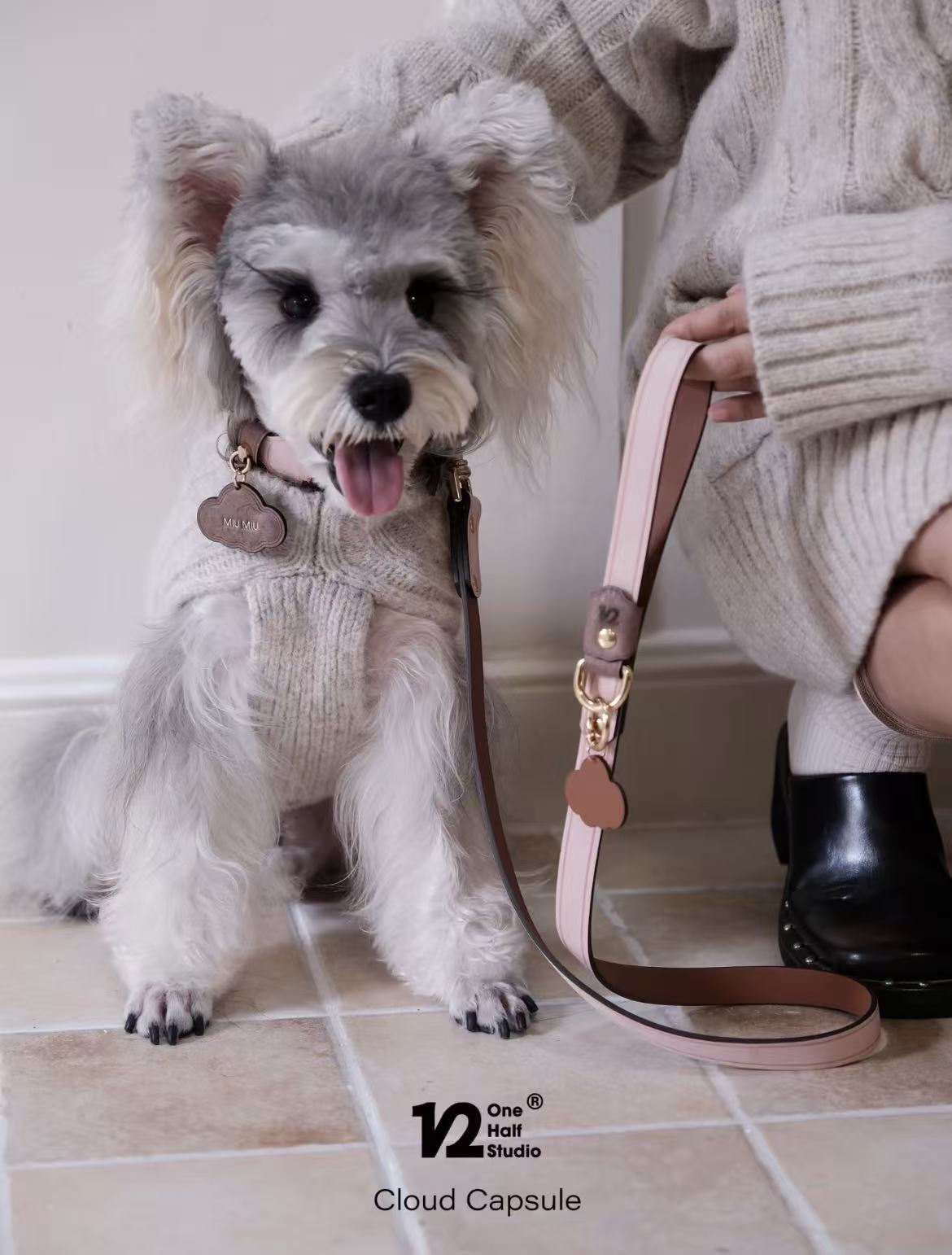 The Cloud Capsule Leather Pet Collar