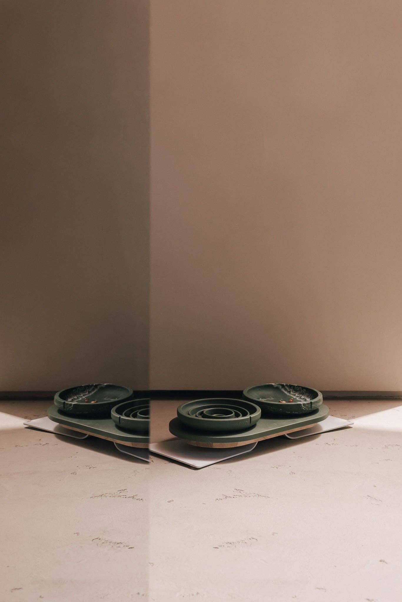 Whisker Friendly Bowl