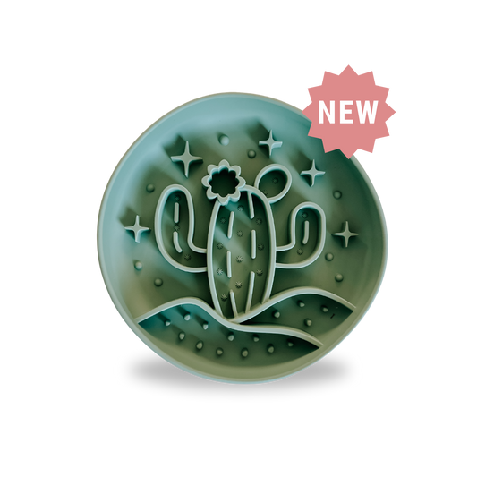 Cactus Slow Feeder
