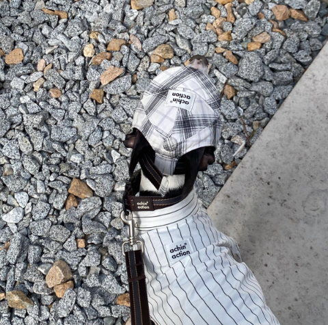 Achin Action Plaid Baseball Cap White