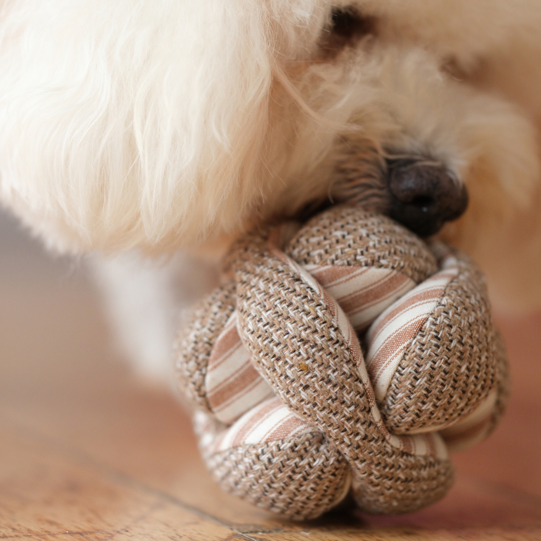 MINI MONTI // ENRICHMENT DOG TOY // SNUFFLE TOY // 2 Color
