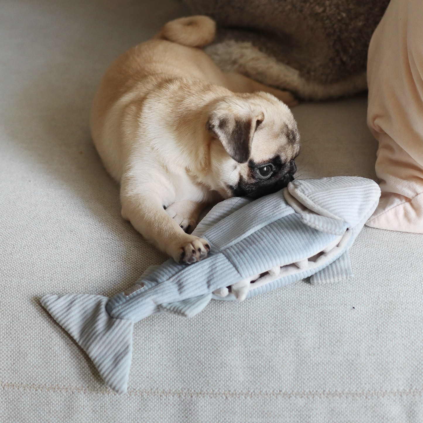 TROUT // ENRICHMENT DOG TOY // SNUFFLE TOY