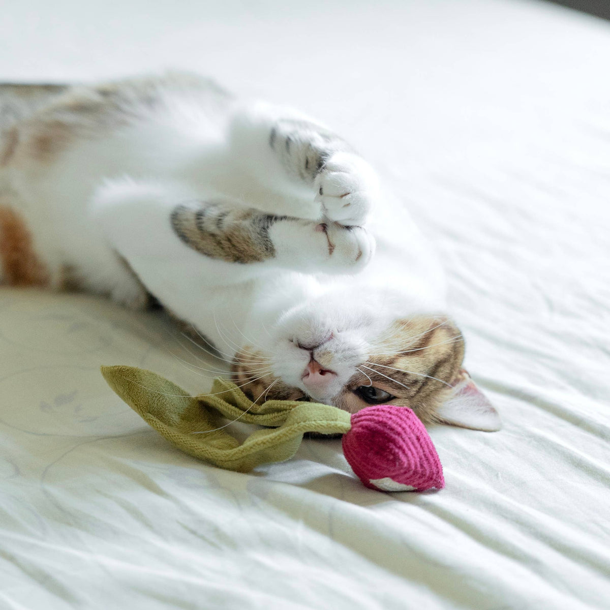 Kitty Radish | Cat Toy | Catnip