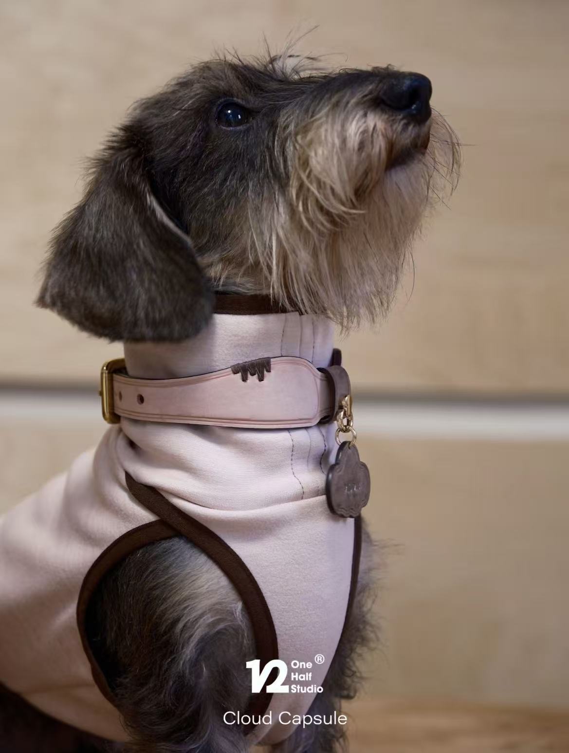 The Cloud Capsule Leather Pet Collar
