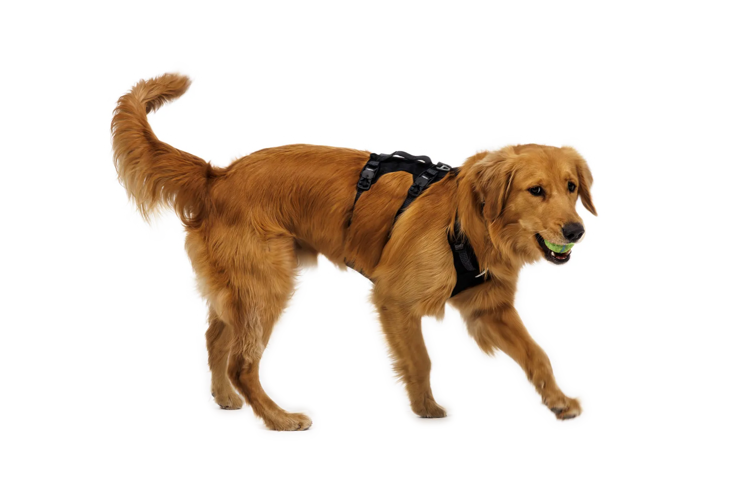 Ruffwear RIDGELINE Harness Obsidian Black