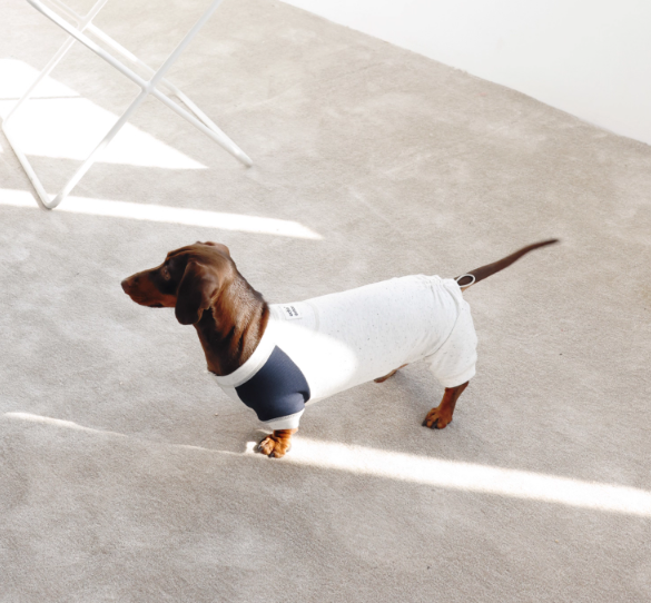 LG Series UPF50+ Anti-Bacterial Cooling Four-Legged Suit