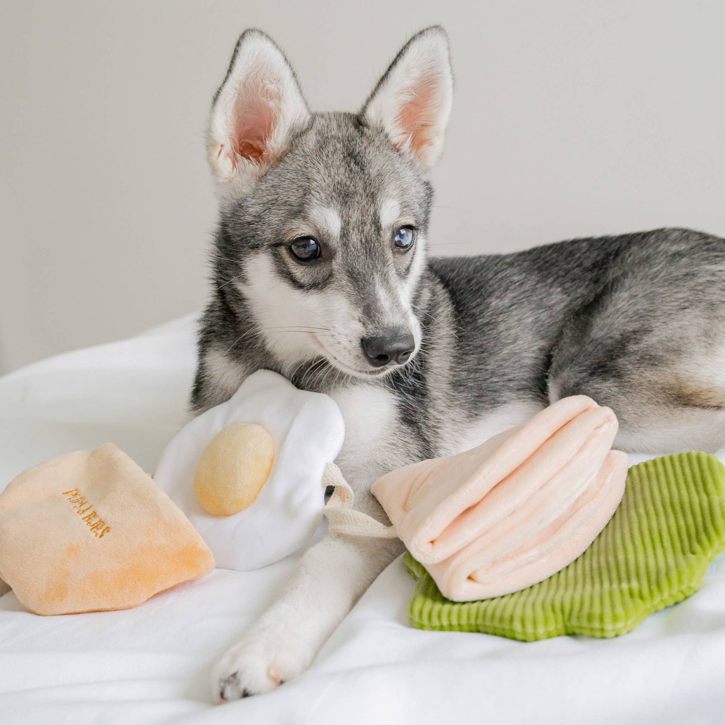 Pita Pocket Nosework Toy