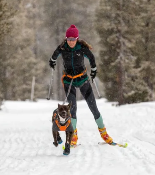 Ruffwear Polar Trex Shoes