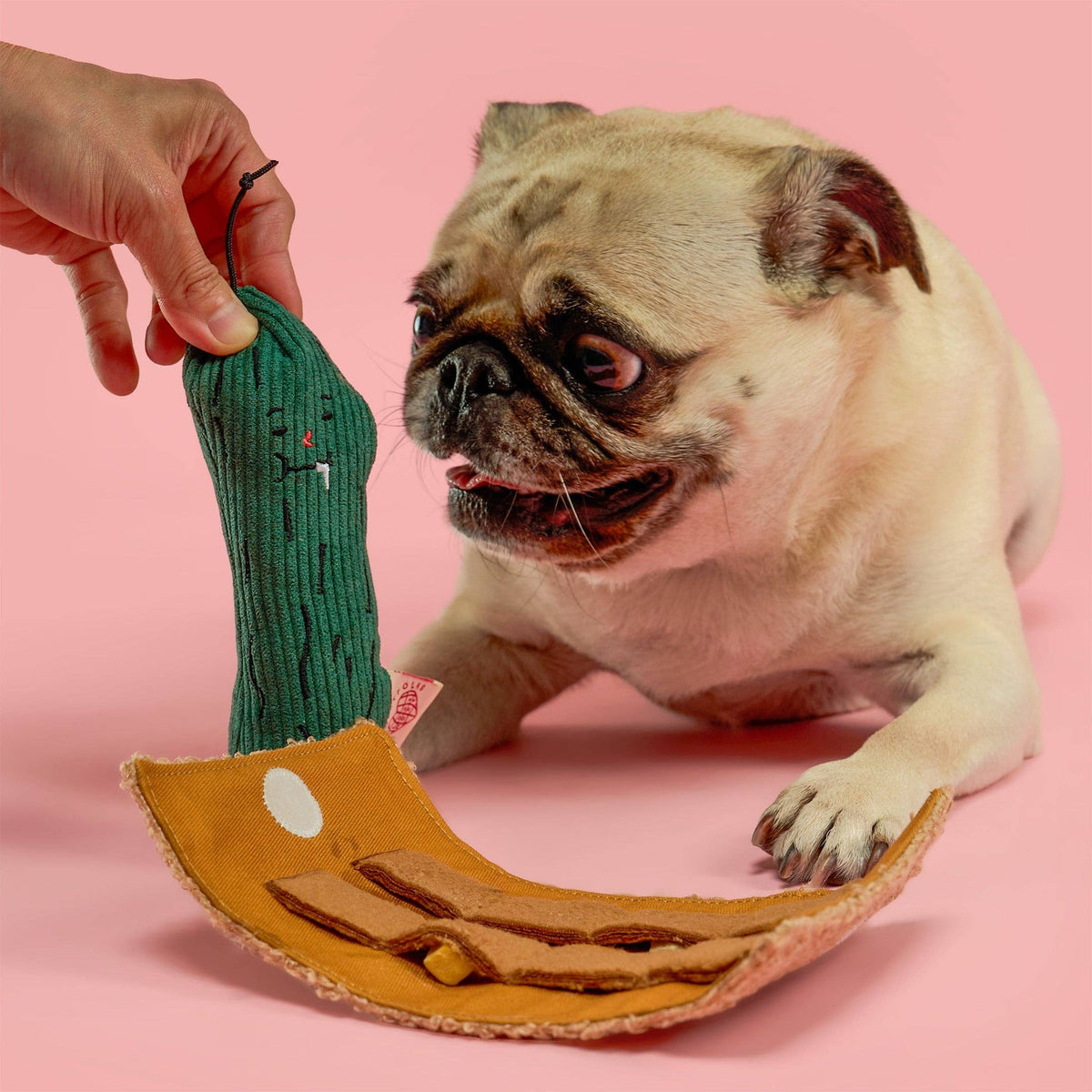 Fried Pickle Nosework Toy
