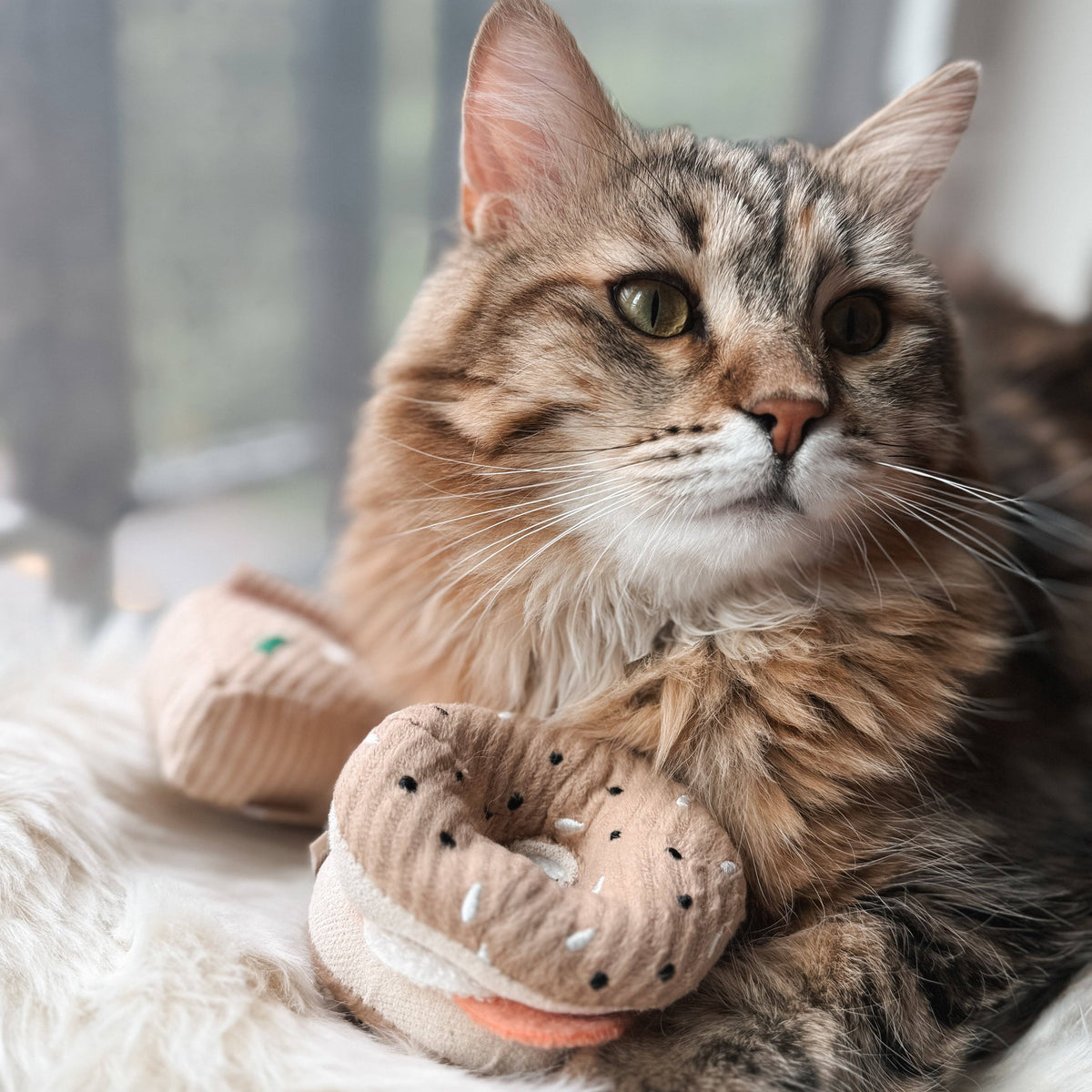 Kitty Pizza & Bagel Set | Cat Toy