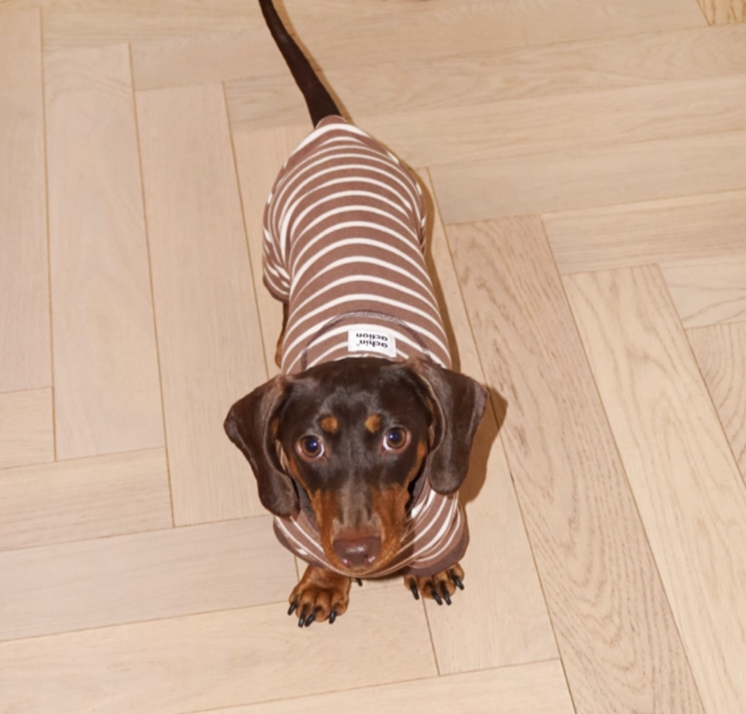 Achin Action Round Cap Heating Four-Legged Suit Dark Brown