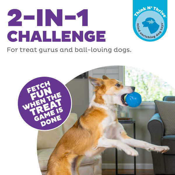 Orbee-Tuff Guru Treat Dispensing Puzzle Toy
