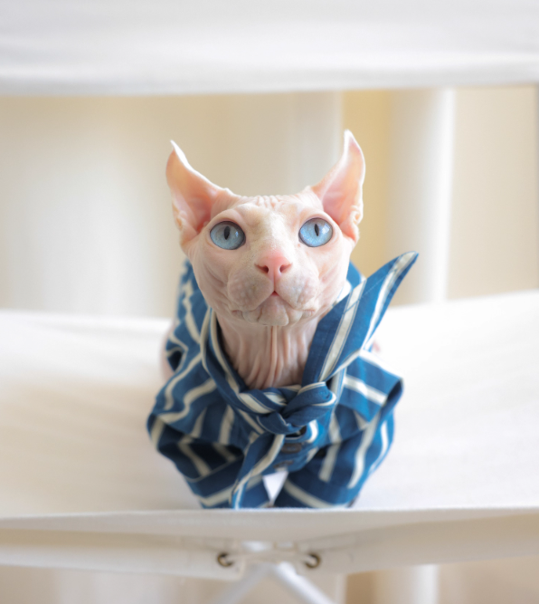 Cotton&Linen Striped Blouse with Bow