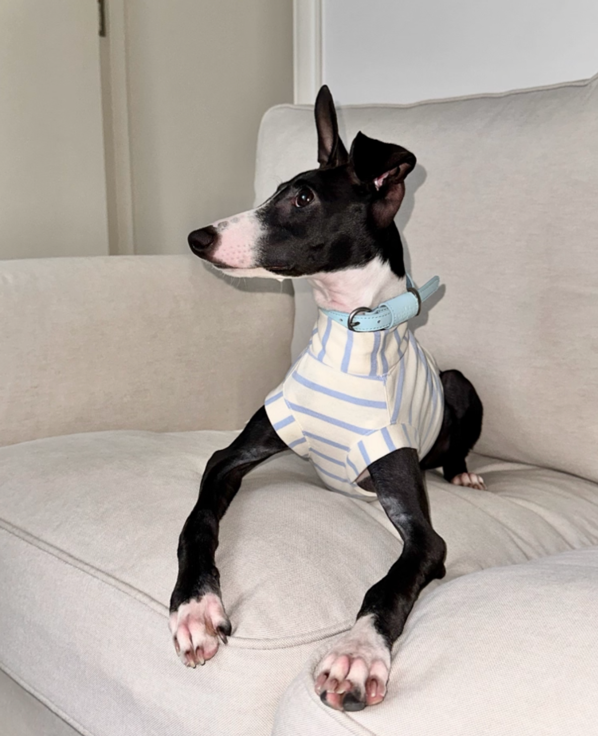 Blue n White Stripes Cotton Top