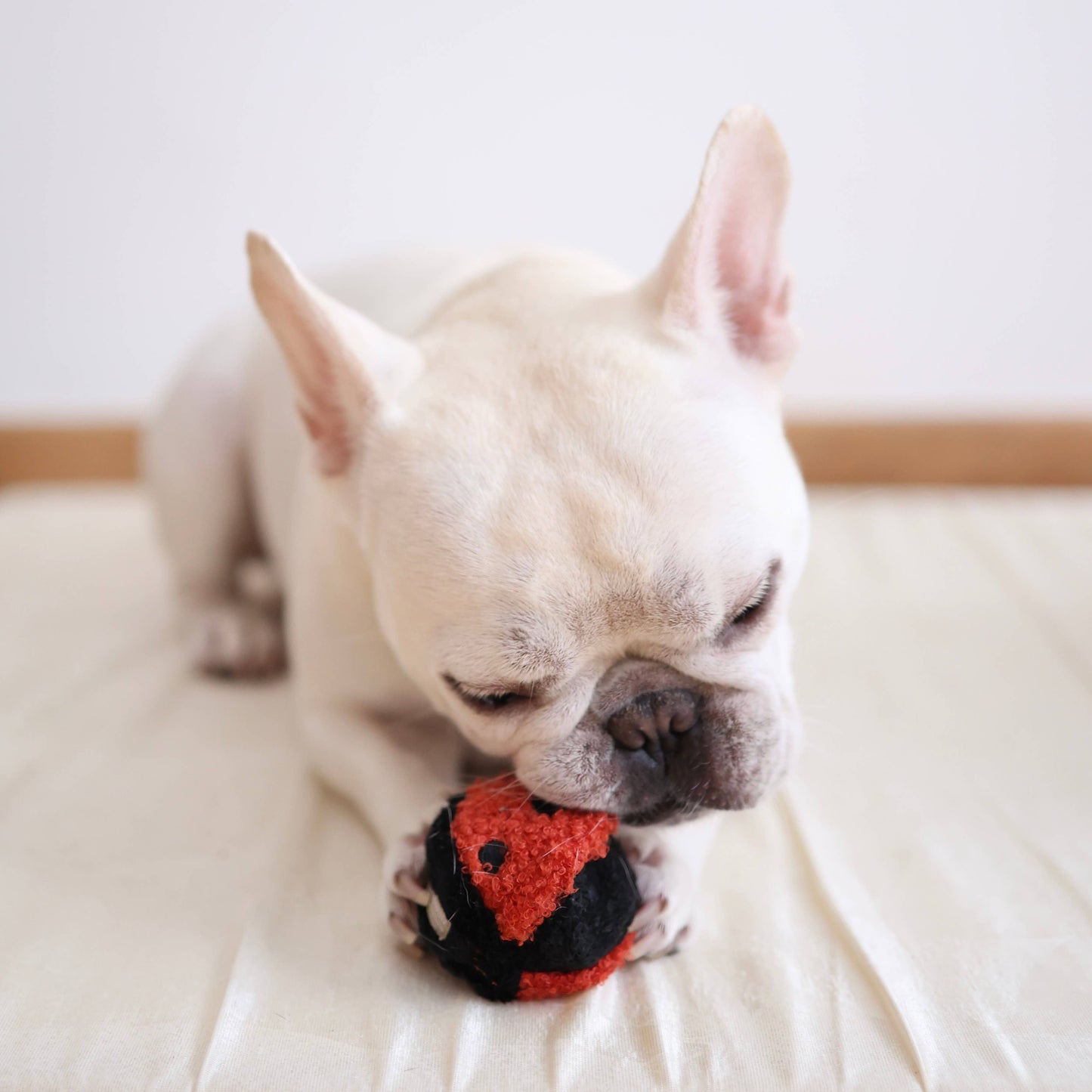 GARDEN SET // ENRICHMENT DOG TOY // SNUFFLE TOY SET