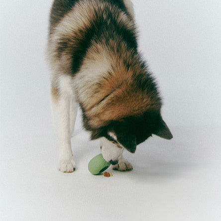 Single Dango Ball Puzzle Toy