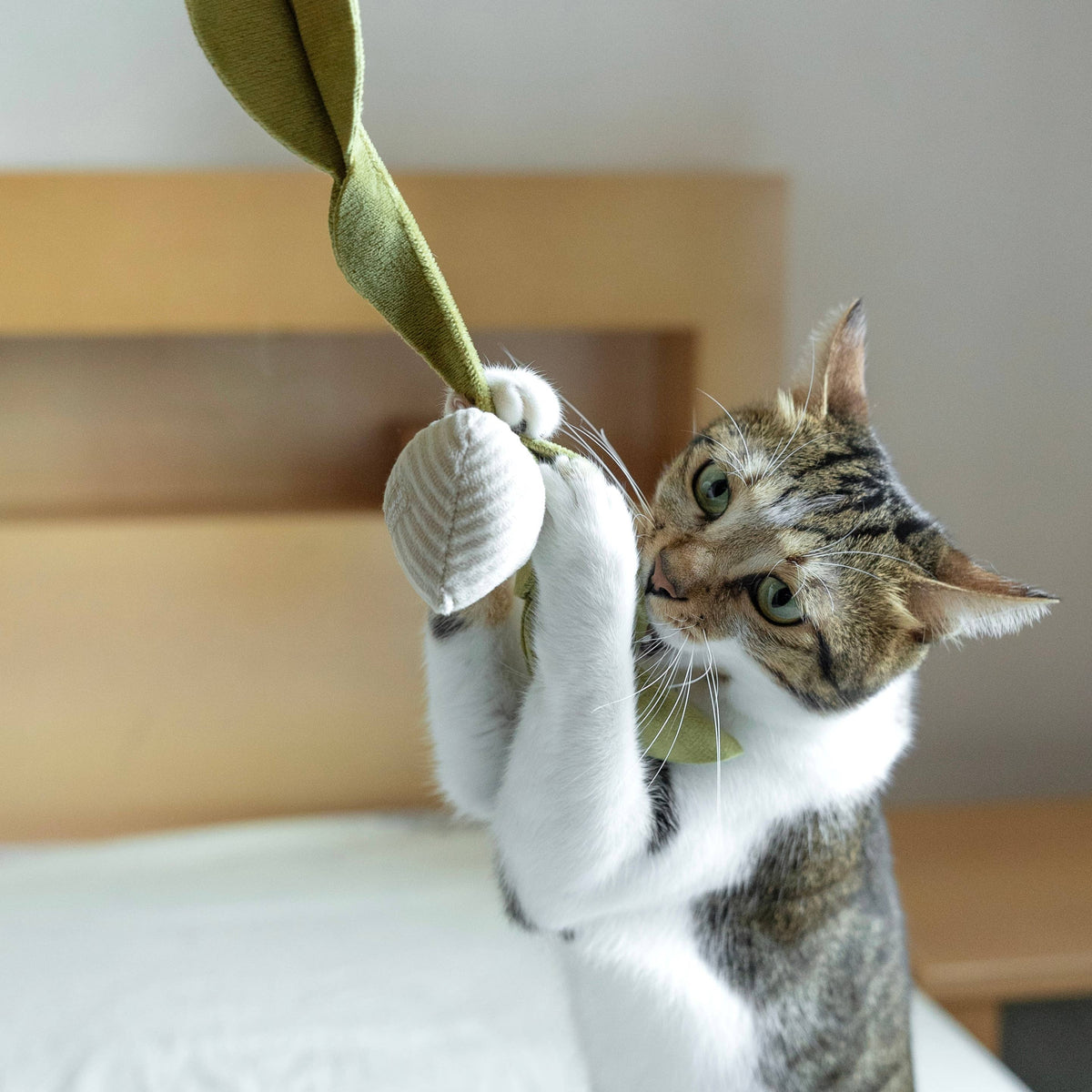 Kitty Radish | Cat Toy | Catnip