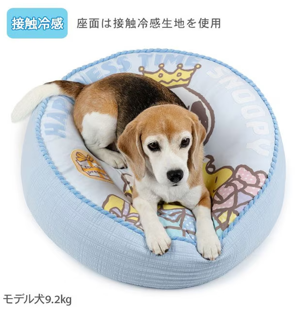Birthday Snoopy Gift Cushion Cooling Bed 2025 Limited Edition