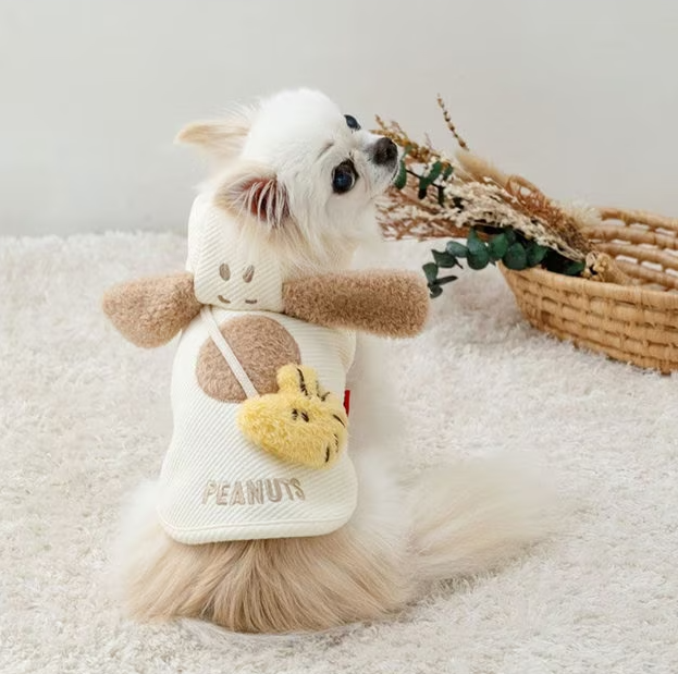 Snoopy Friends Hoodie