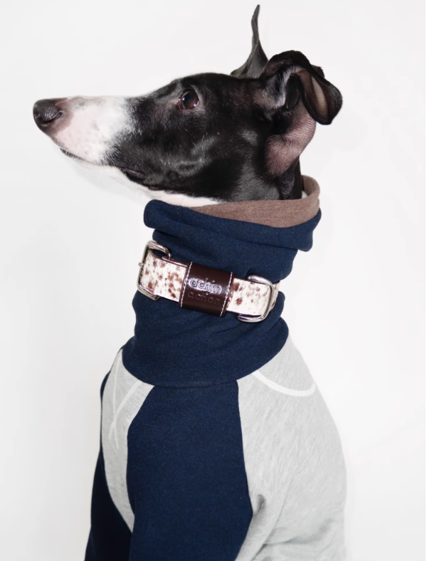 Achin Action DG Leather Collar