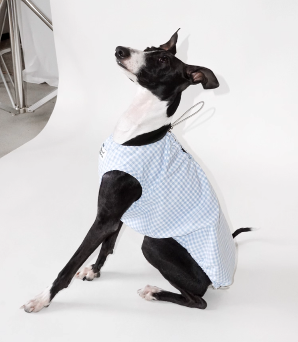 Double-Sided Summer Plaid Top