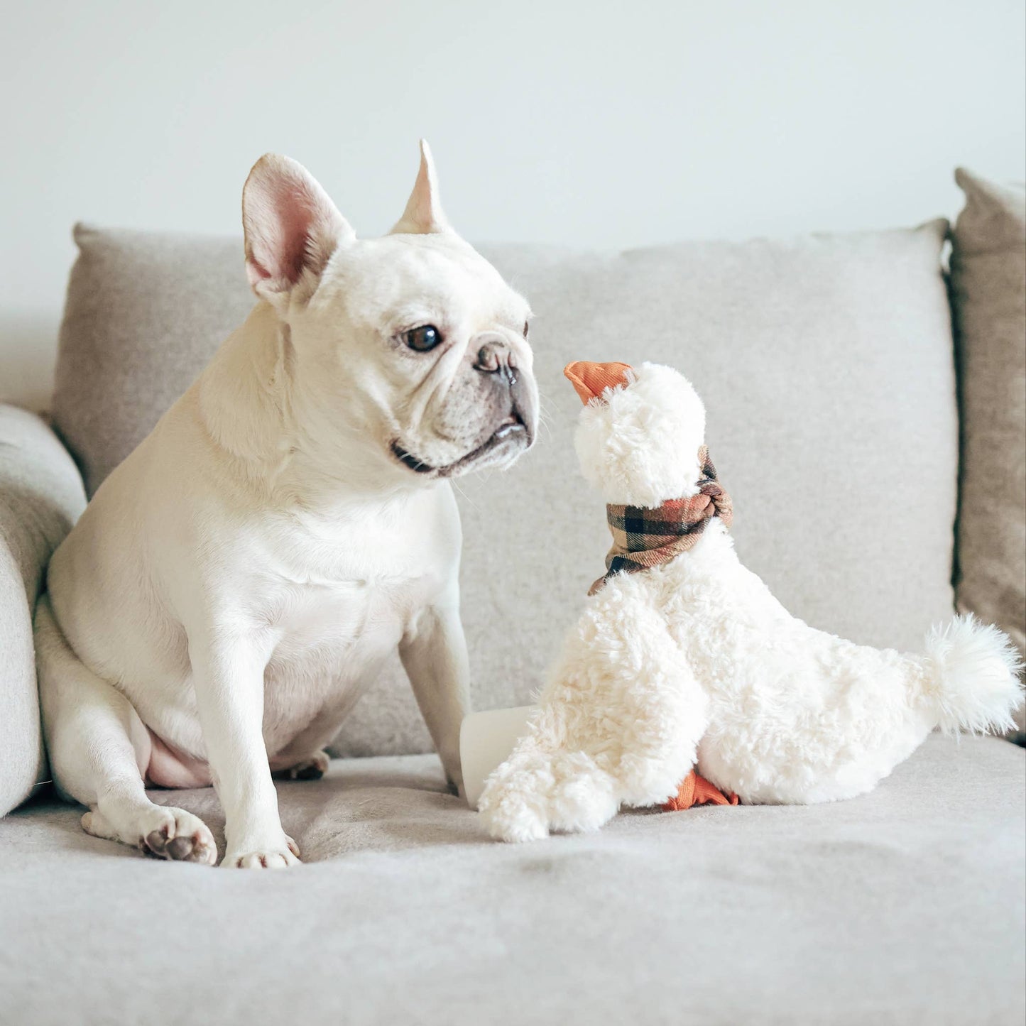 GUS // ENRICHMENT DOG TOY // Cuddle + Plush Toy