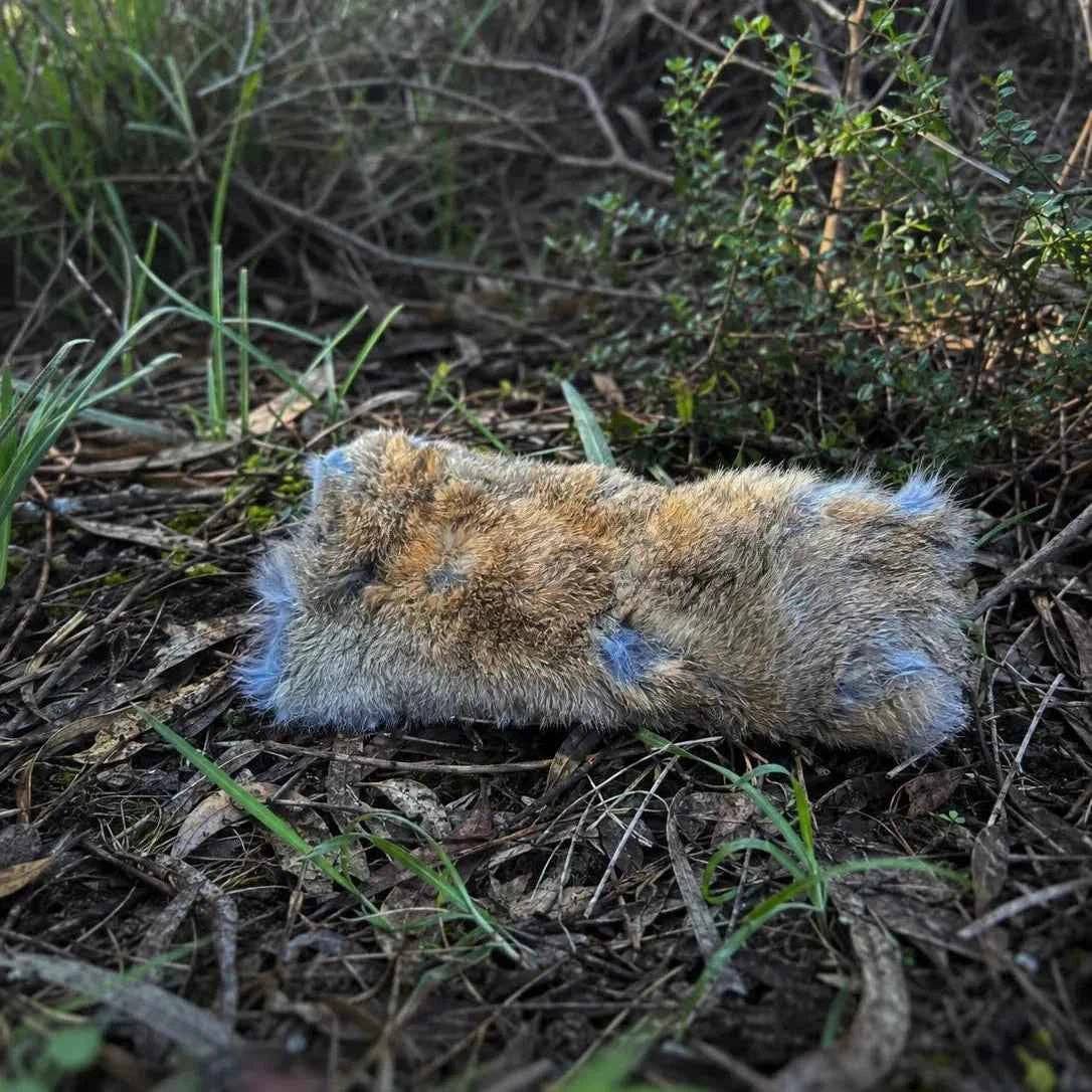 Hollow Hare Rabbit Fur Toy – Unstuffed for Natural Play